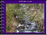 Little Cataloochee Creek