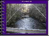 Cataloochee Creek