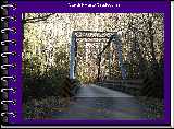 The drive into Cataloochee