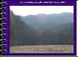The pastoral and secluded scene that is Cataloochee