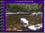 Snow on a wonderfully clear stream