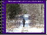 The trail makes a steady, if not steep, 2000 foot climb up the ridge.