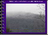 The hoarfrost covered the trees on the higher peaks in Georgia.