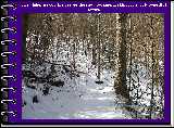 The higher we got, the deeper the snow became, making for a truly beautiful scene.