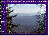 A break in the trees as we get closer to the summit reveals a wonderful view lies ahead.