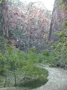 Click to see P4300530.jpg