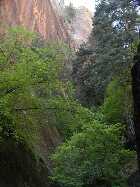 Click to see P5010557.jpg