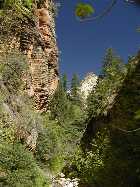 Click to see P5010567.jpg