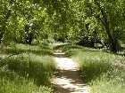 Click to see P5010577.jpg