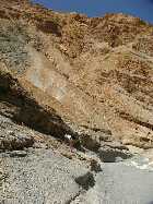 Click to see P5030650.jpg